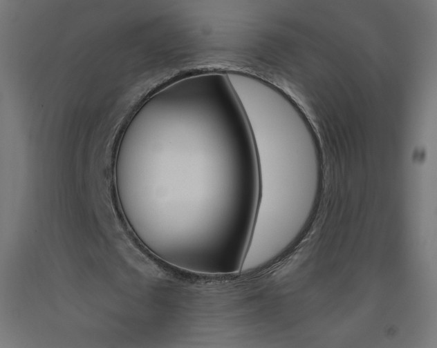 X0000093530673200710121150