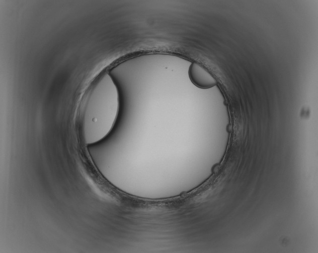 X0000093530674200710121150