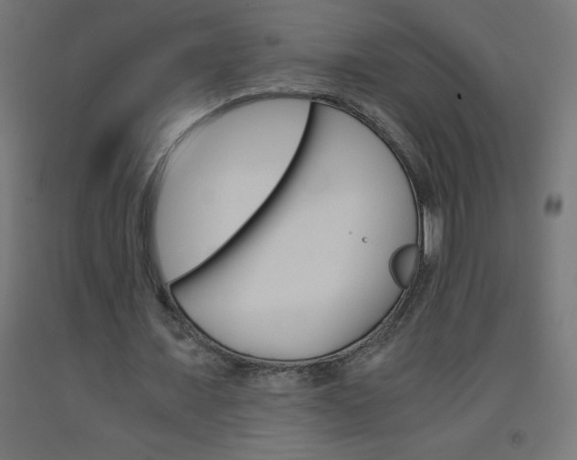 X0000093530675200710121150
