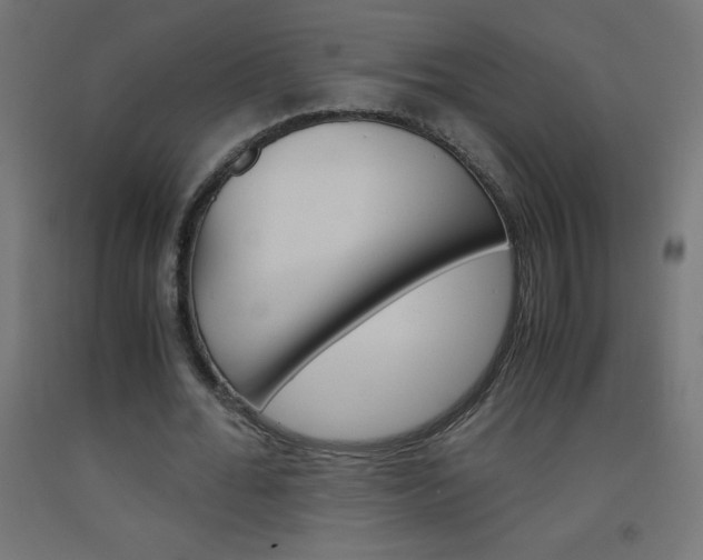 X0000093530676200710121150