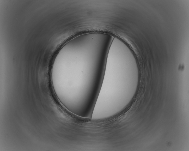 X0000093530677200710121150