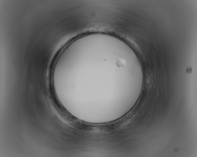 X0000093530678200710121150