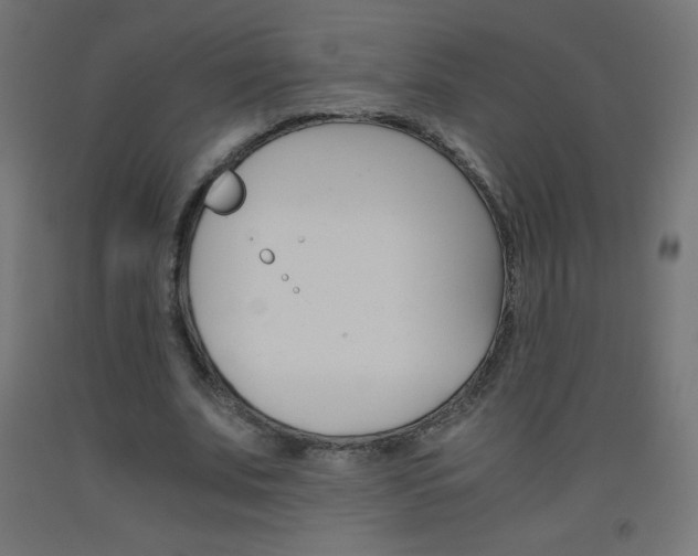 X0000093530679200710121150