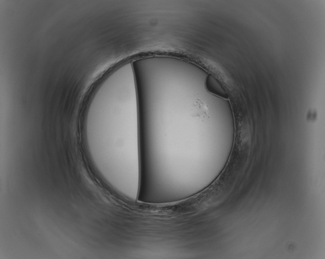 X0000093530680200710121150