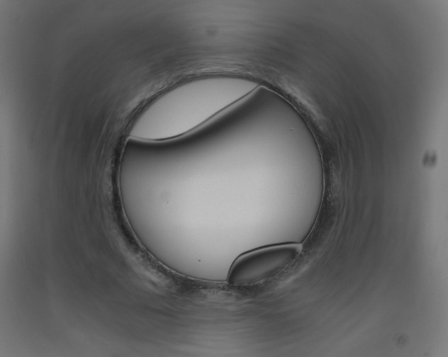 X0000093530681200710121150