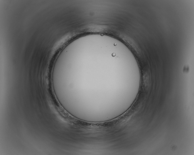 X0000093530682200710121149