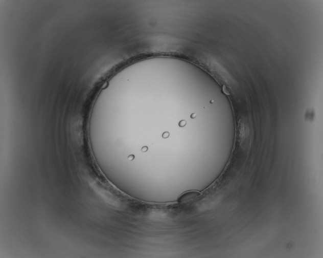 X0000093530684200710121149