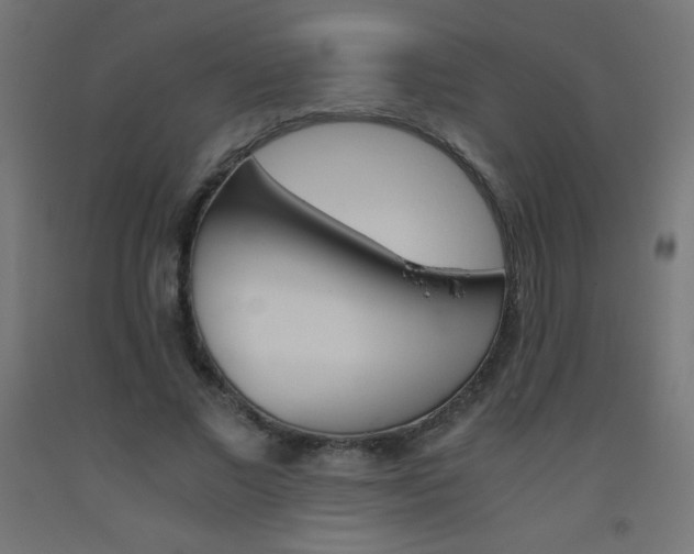 X0000093530685200710121149