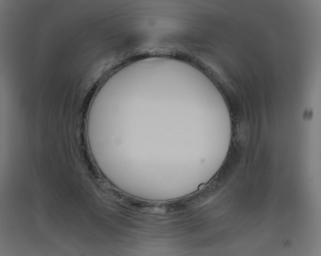 X0000093530687200710121149