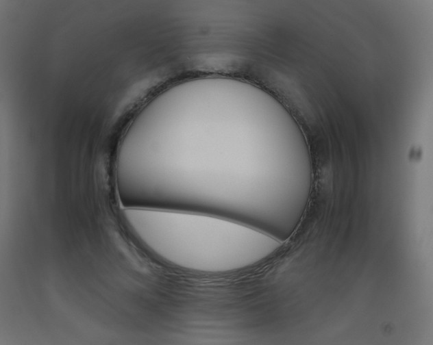 X0000093530688200710121149