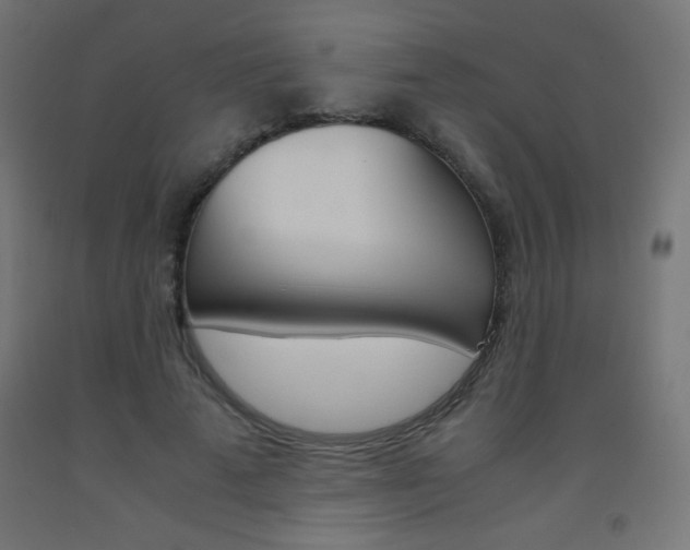 X0000093530689200710121149