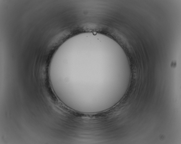 X0000093530690200710121149