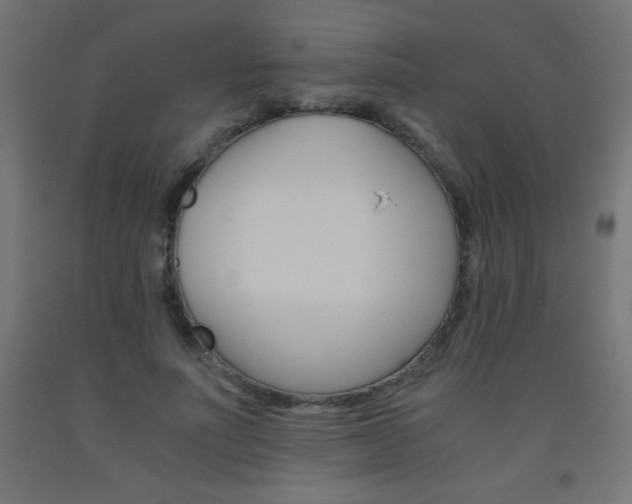 X0000093530691200710121149