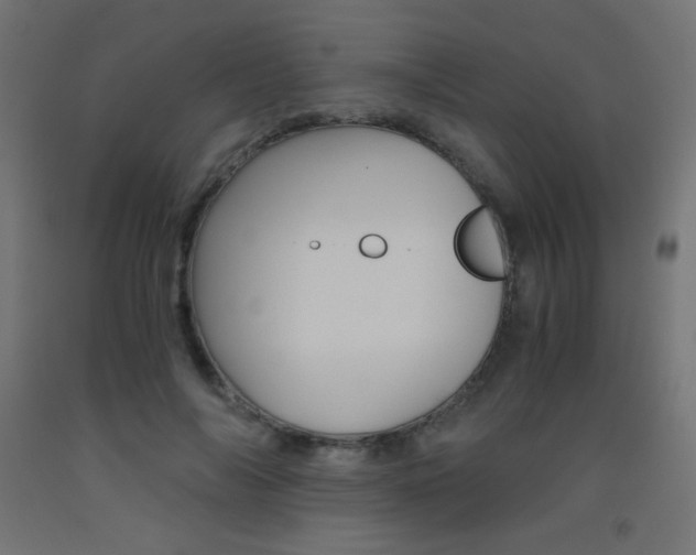 X0000093530694200710121149