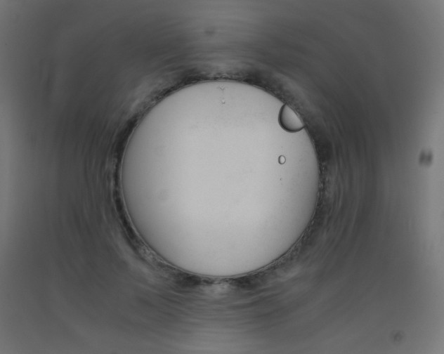 X0000093530695200710121149