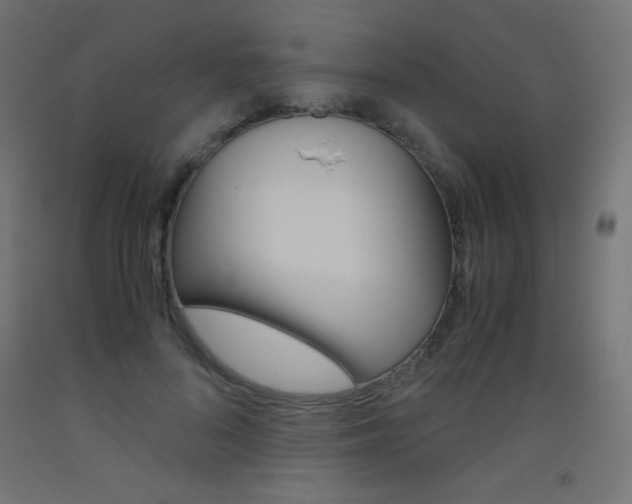 X0000093530696200710121149