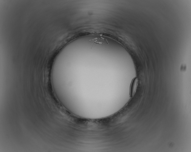 X0000093530697200710121149