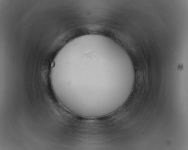 X0000093530698200710121149