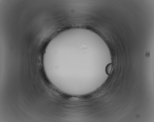 X0000093530699200710121149