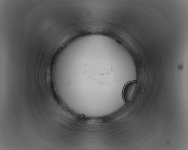 X0000093530700200710121149