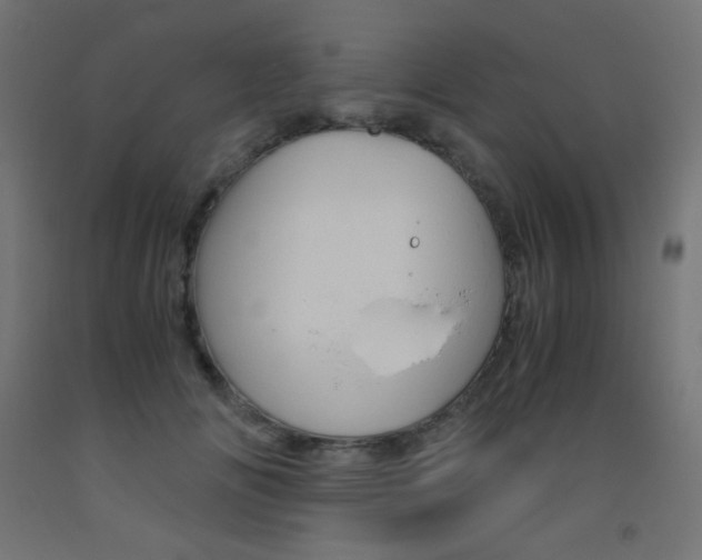 X0000093530702200710121149