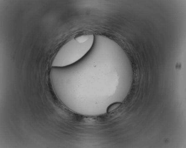 X0000093530703200710121149