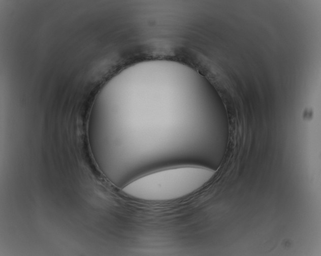 X0000093530704200710121149