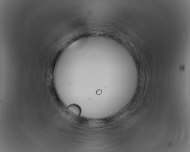 X0000093530707200710121149