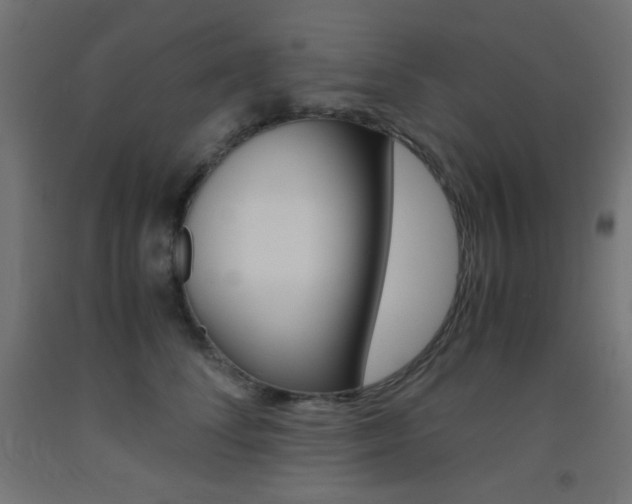 X0000093530708200710121149