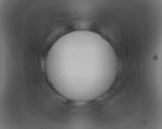 X0000093530709200710121149