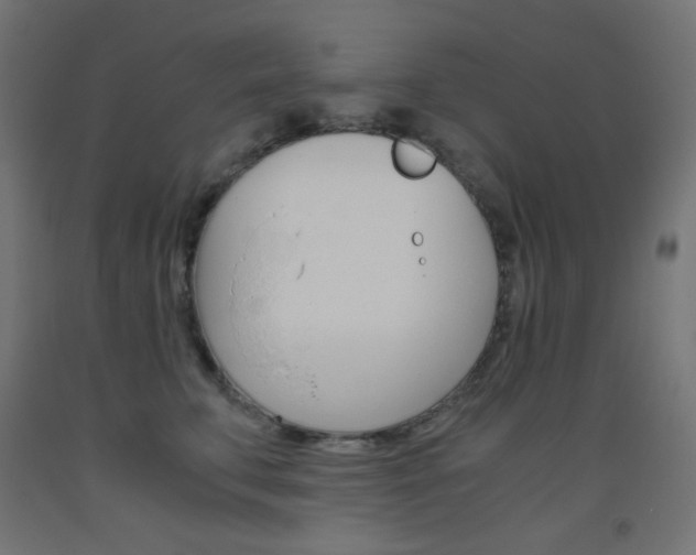 X0000093530711200710121149