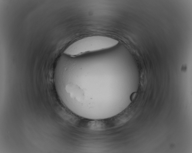 X0000093530714200710121149