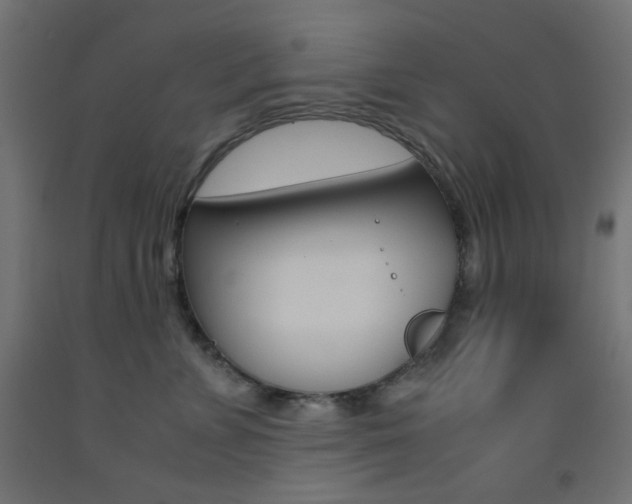 X0000093530715200710121149