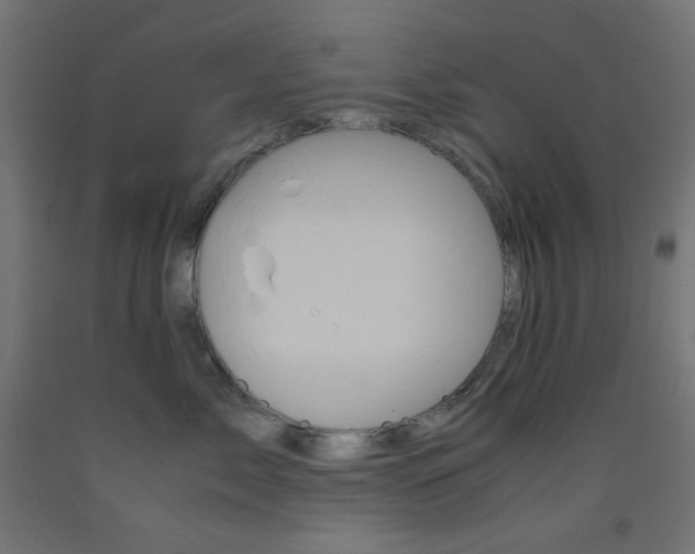 X0000093530717200710121149