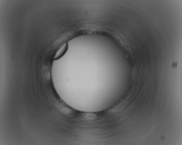 X0000093530719200710121149