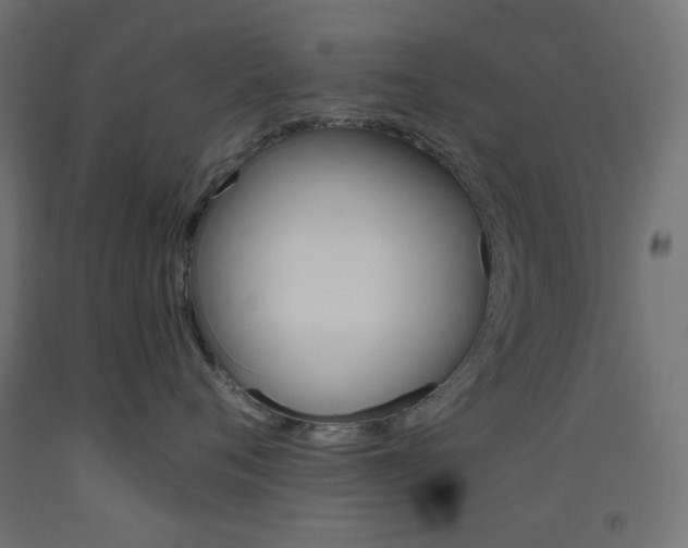 X0000093530720200710121149