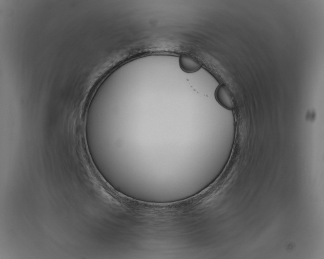 X0000093530721200710121148