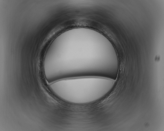 X0000093530722200710121148