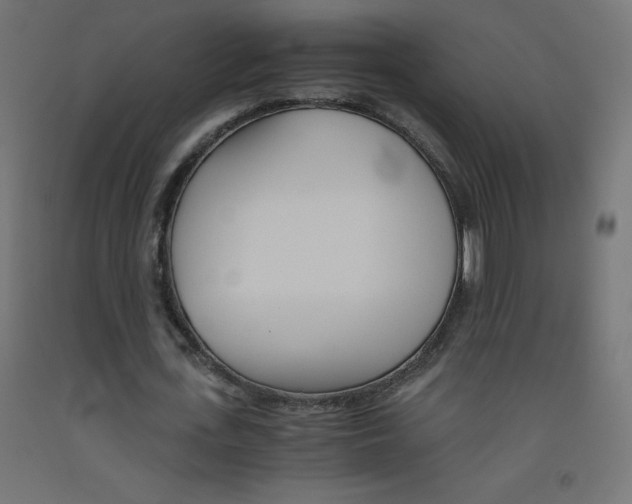 X0000093530723200710121148
