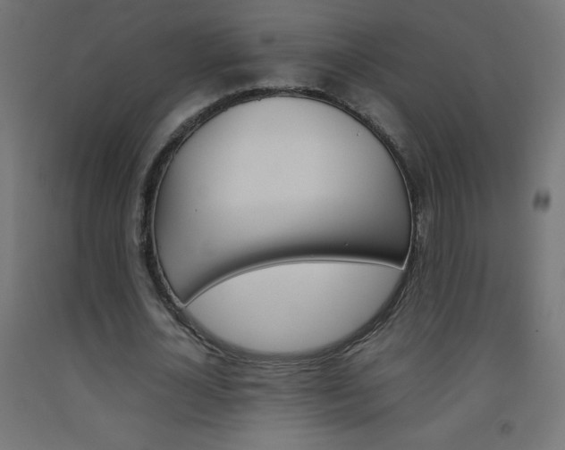 X0000093530724200710121148