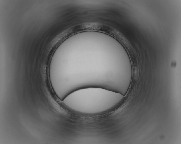 X0000093530725200710121148