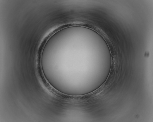 X0000093530726200710121148