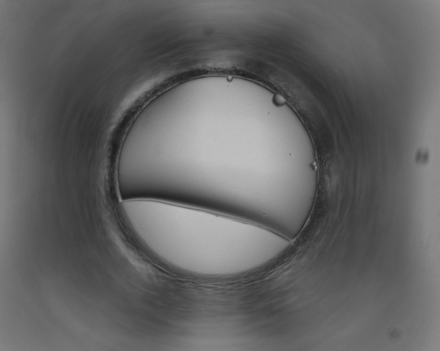 X0000093530728200710121148