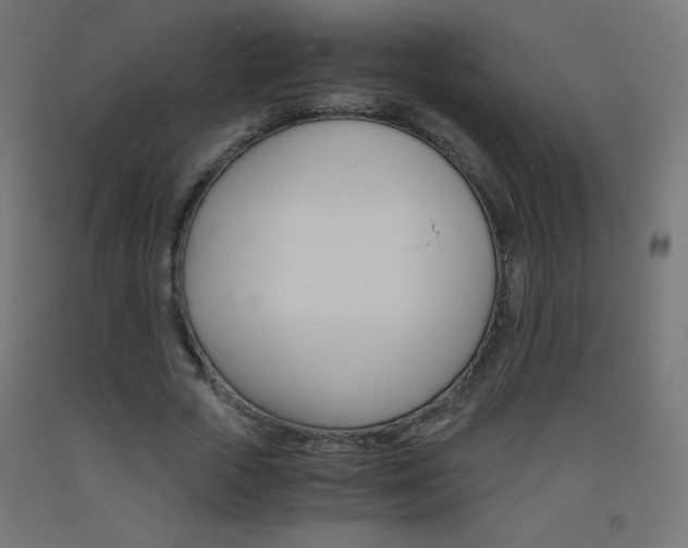 X0000093530729200710121148