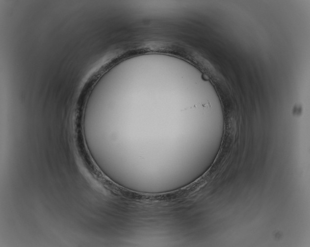 X0000093530730200710121148