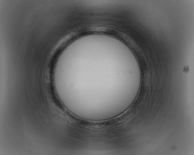 X0000093530731200710121148