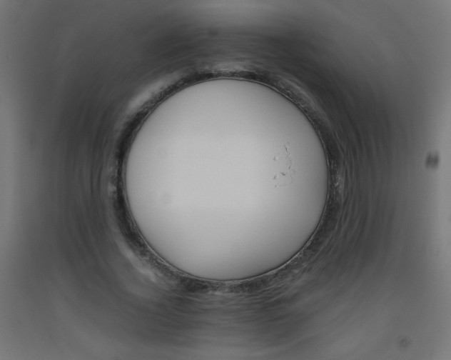 X0000093530732200710121149