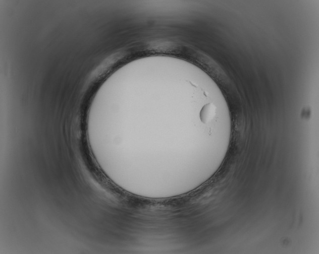 X0000093530734200710121149
