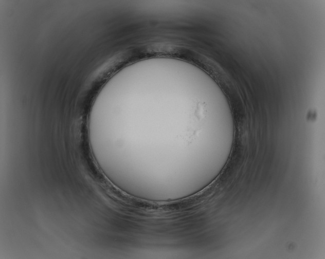 X0000093530735200710121149