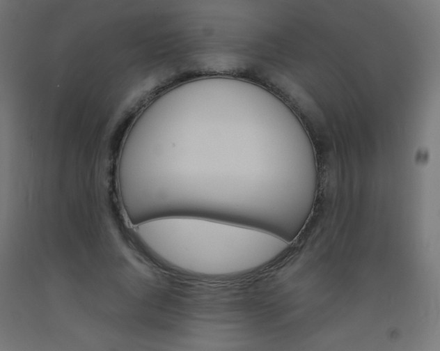 X0000093530736200710121149